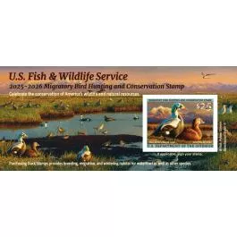 2025 Federal Duck Stamp