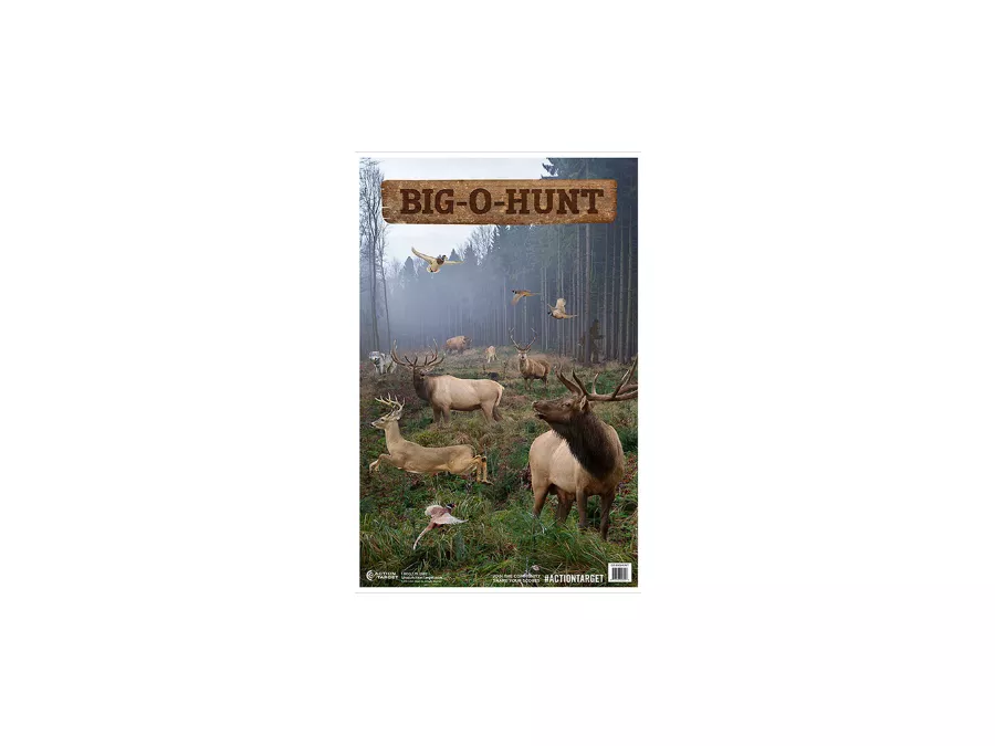 Action Target Big-O-Hunt Paper Target, 100