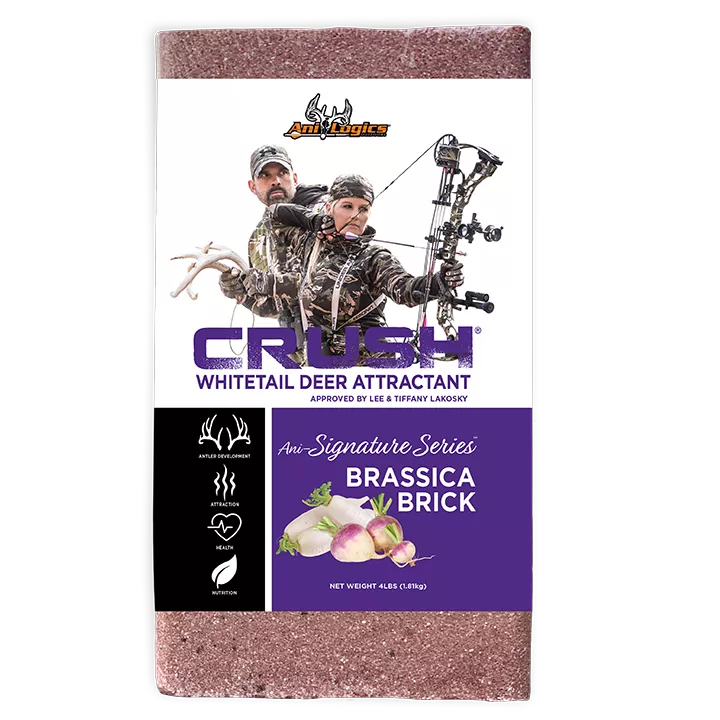 Ani-Logics Crush Brassica Brick – 4Lbs #ANI42101