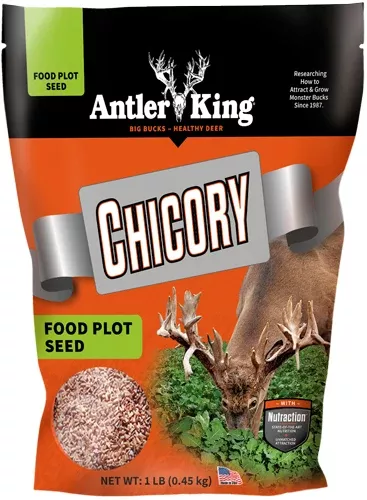 Antler King | Chicory 1 lb Bag | Perennial Food Plot Seed | For 1/4 Acre