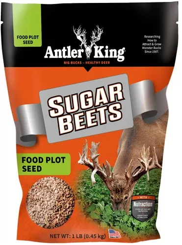 Antler King | Sugar Beets 1 lb Bag | Annual Food Plot Seed | For 1/8 Acre