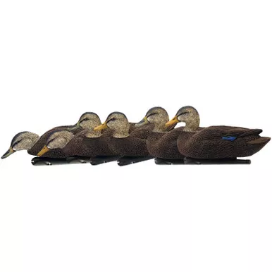 AVIAN-X AVX8075 TOPFLIGHT BLACK DUCKS 6 PACK