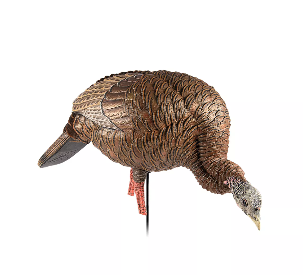 Avian-X HDR Feeding Hen #AVX-AVX8107