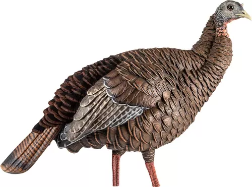 Avian X Hdr Hen Decoy –