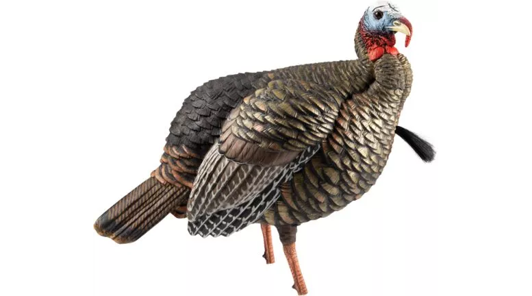 Avian-X HDR Jake Turkey Decoy #AVX8105