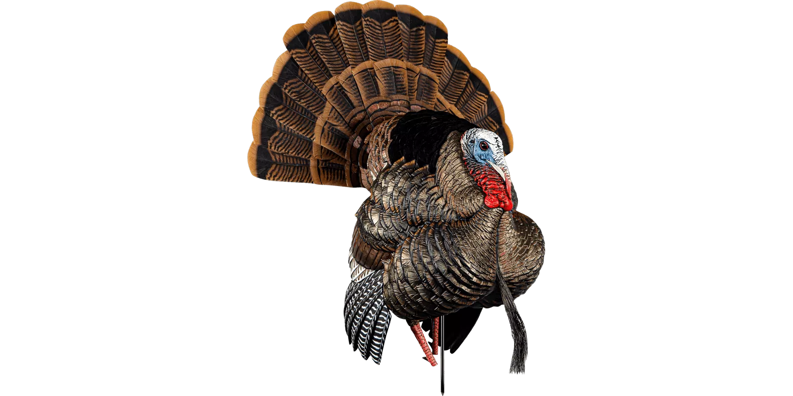 Avian-X HDR Strutter #AVX8108