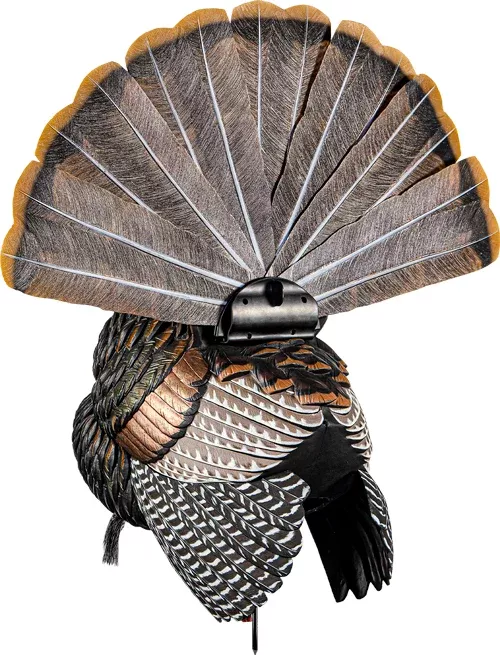 Avian X Hdr Strutter Decoy –