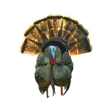 Avian-X HDR Strutter HDR Turkey Decoy
