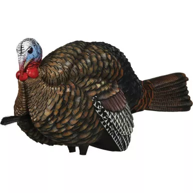 Avian-X LCD 1/2 Strut Jake Turkey Decoy