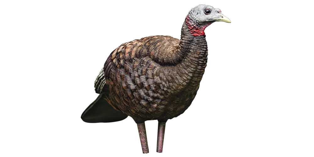 Avian-X LCD Breeder Hen Turkey Decoy #AVX8008