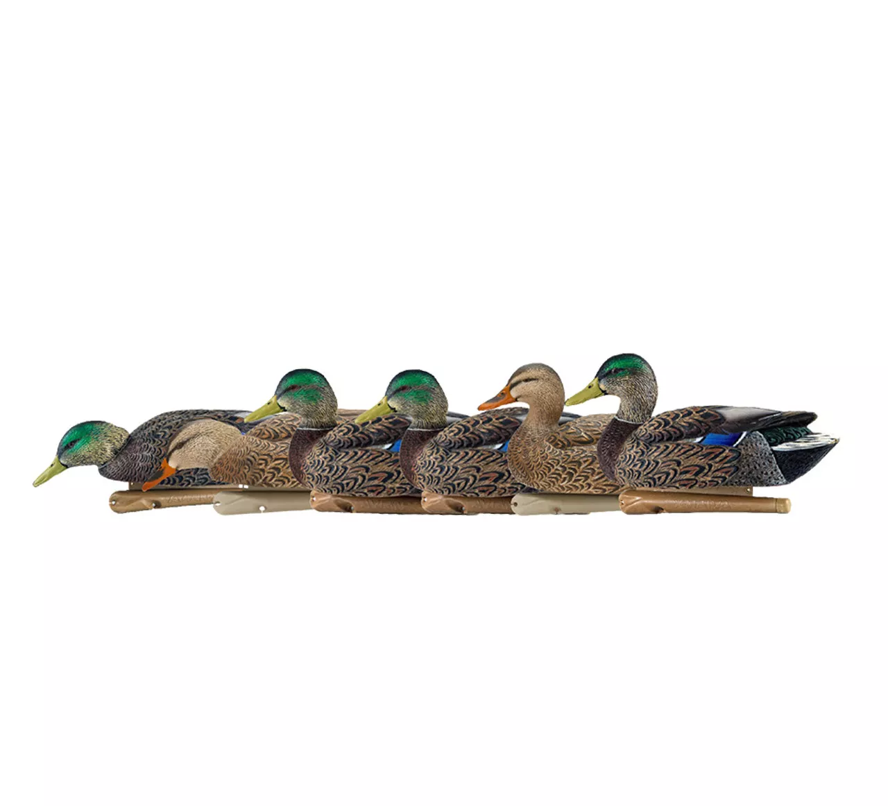 Avian-X Topflight Early Season Mallards #AVX-AVX8062