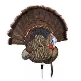 Avian-X Trophy Tom Turkey Decoy