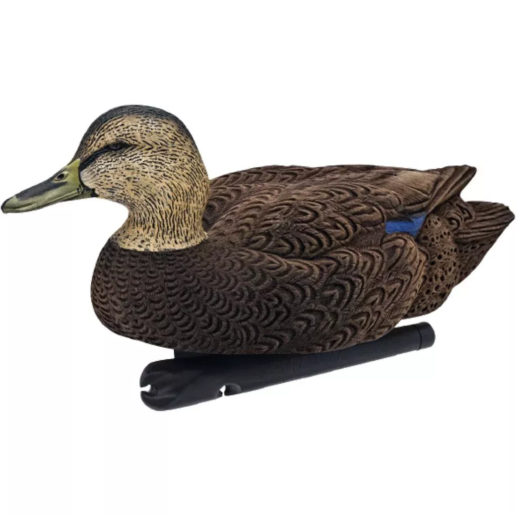 AvianX Top Flight Duck Decoys (Flocked Black Duck 6 pk.)
