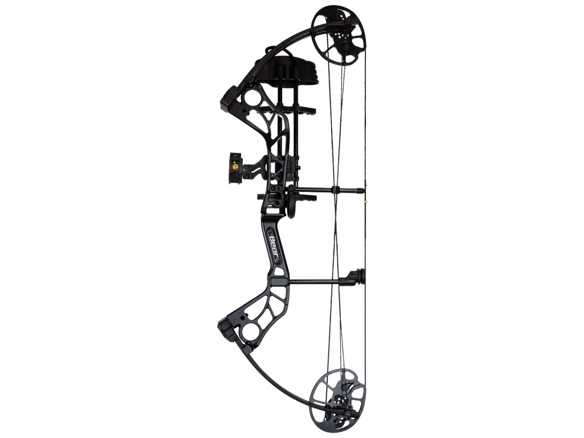 Bear Shootout Compound Bow RTH