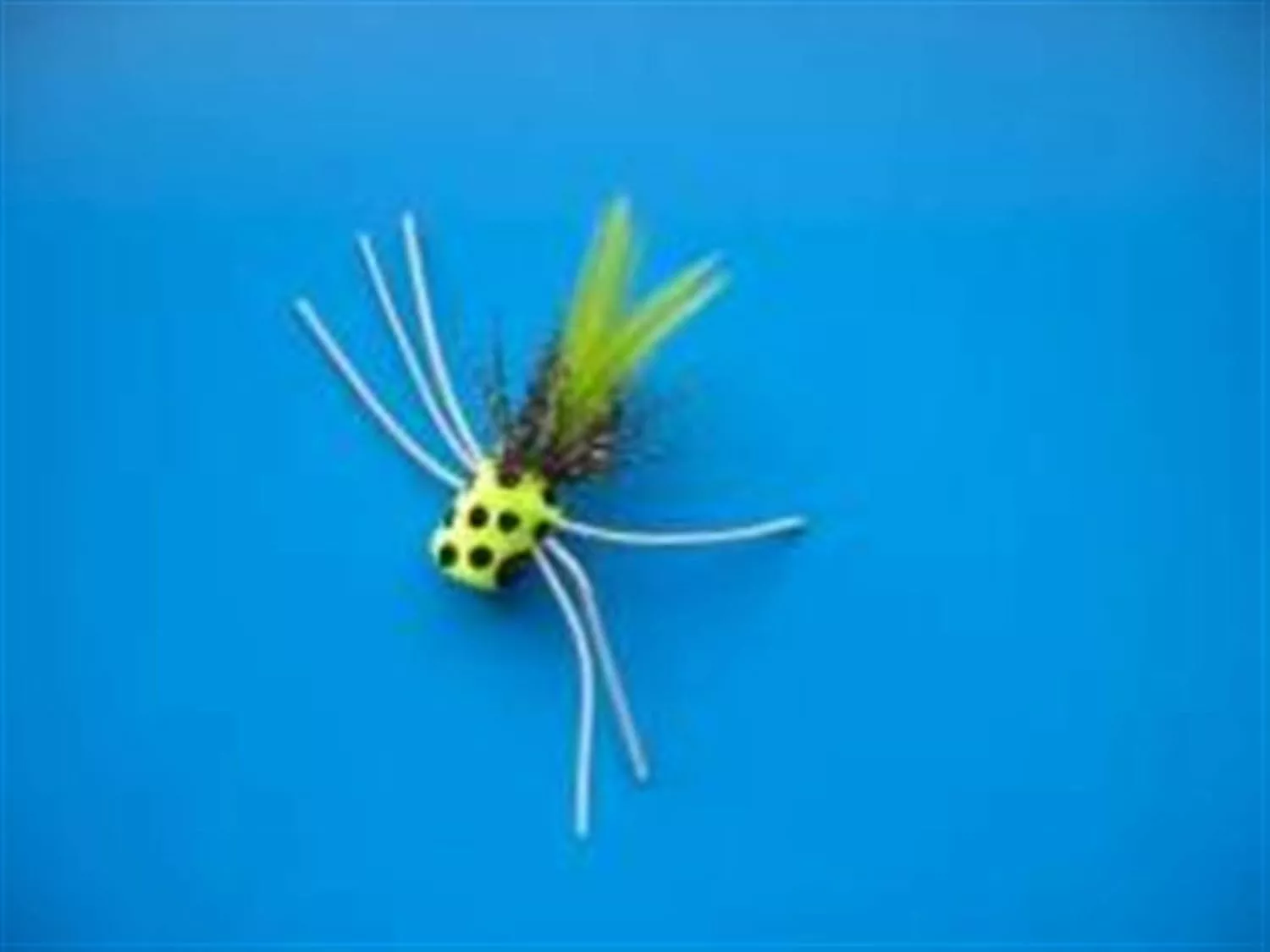 Betts Poka Pop Chartreuse – Size 8 #309-8-5