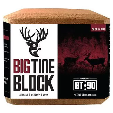 Big Tine 25-lb. Block