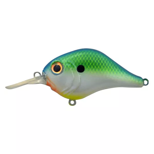 Bill Lewis MR-6 Crankbait 1/2 Oz – Citrus Shad