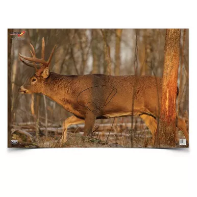 Birchwood Casey BC-37481 Eze-Score 23" X 35" Whitetail Deer Target, 2 Targets