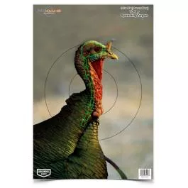 Birchwood Casey Pregame Splattering Animal Target 12″x18″ Turkey 8 Pack