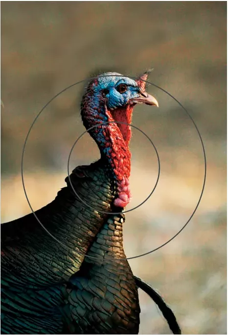 Birchwood Casey PREGAME Turkey Reactive Target #BC-35403