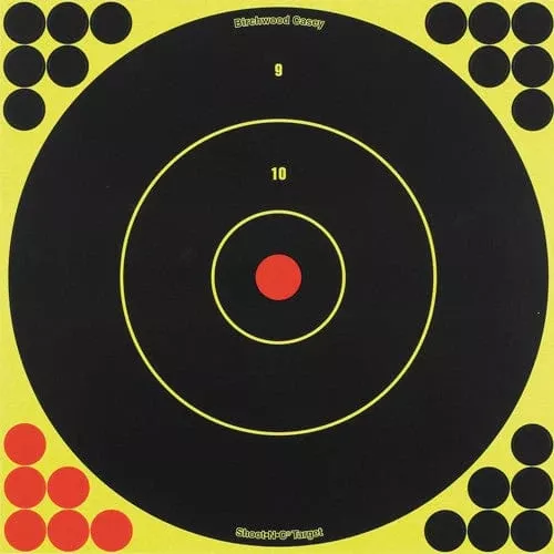 Birchwood Casey Shoot-N-C 12in Bulls-Eye Target – 12 Targets