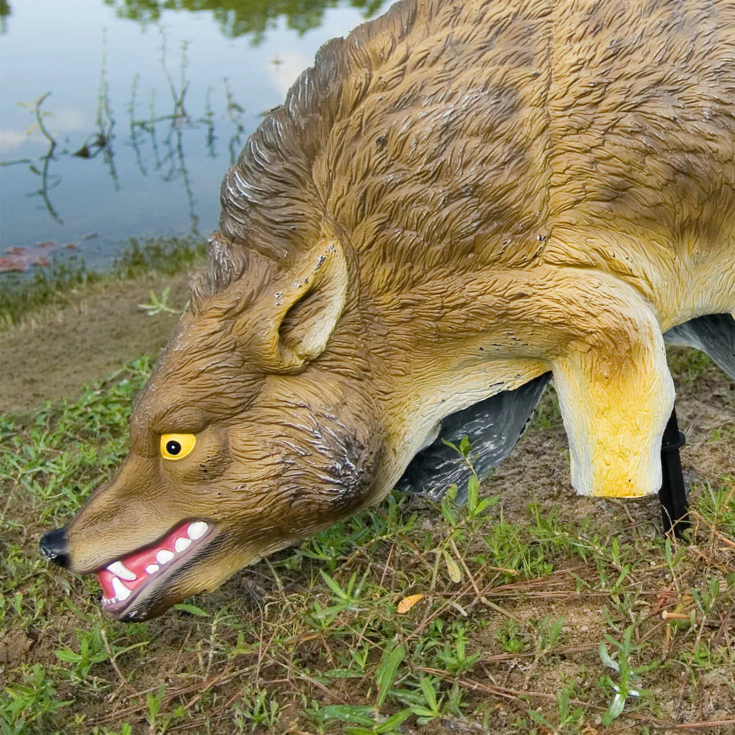 Bird-X 3-D Coyote Goose Repeller