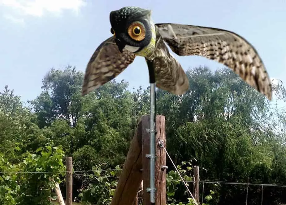 Bird-X Prowler Owl | Dimensions 44˝ Wingspan 23˝ Total head to Tail 6˝ Head Diameter