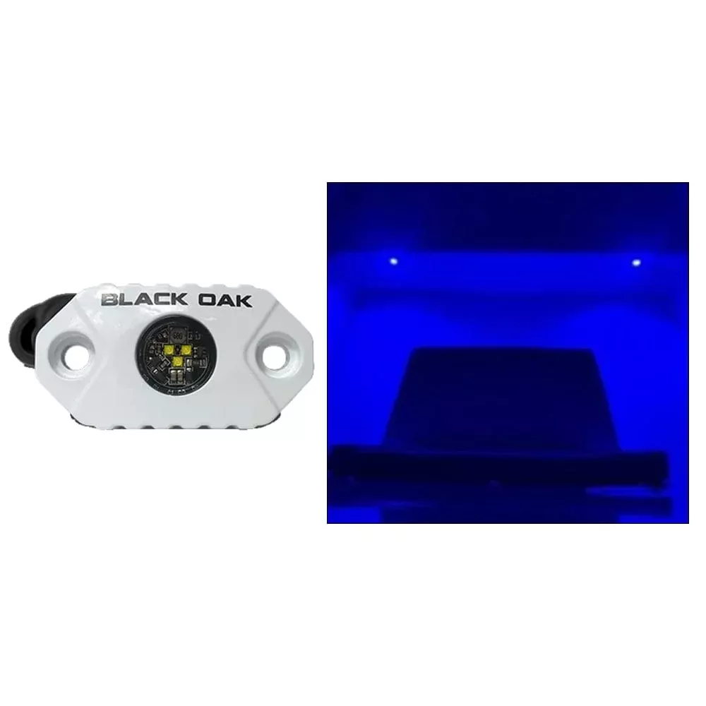 Black Oak Rock Accent Light – Blue – White Housing