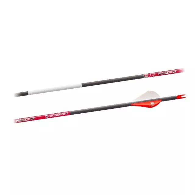BloodSport Prosecutor Arrows 300 2″ Vane 6 Pack #BLDS430