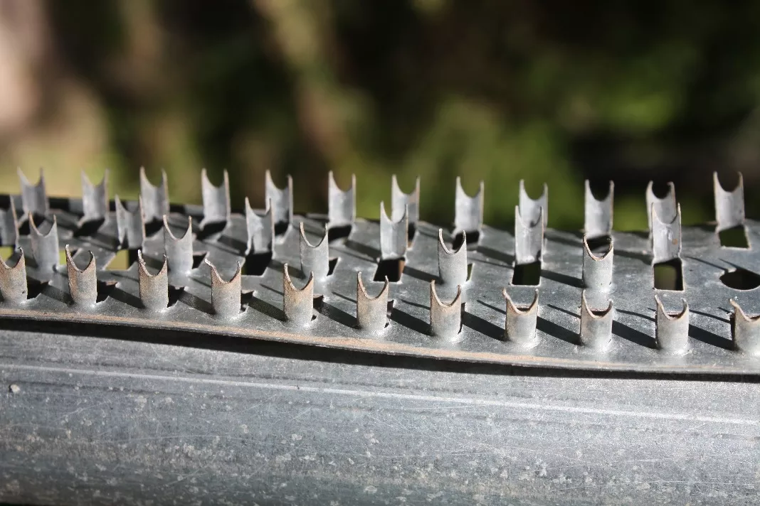 Boss Buck Shark Teeth 3 Strip Pkg. 36″L X 1 1/2″ W