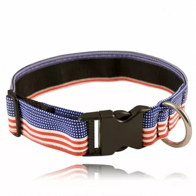 Boston Leather 1.5" Decorative Embroidered Collar