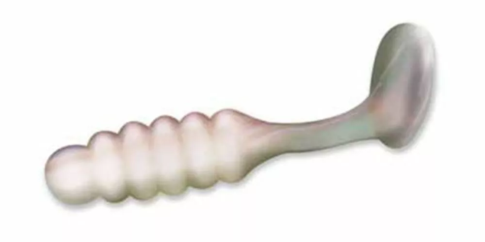 Charlie Brewer Slider Grub 1′ Pearl#CBP3