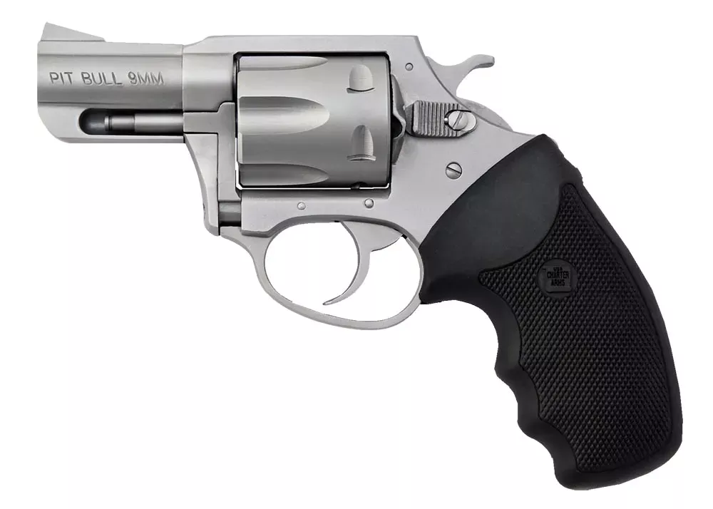 Charter Arms Pitbull 9mm Revolver 2.20" 5 Matte Stainless