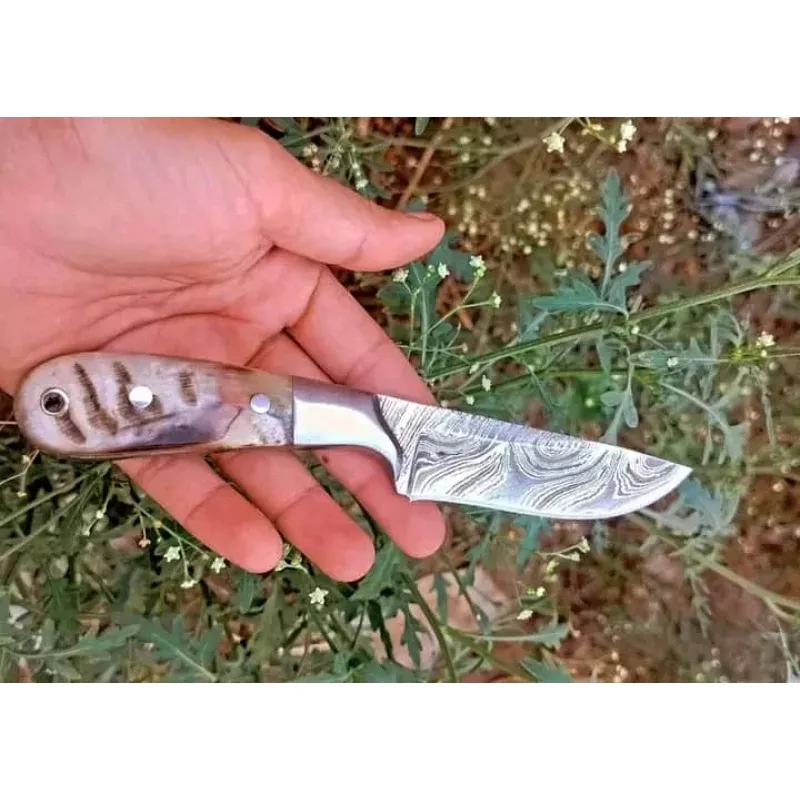 Custom Handmade Damascus Knife in a Belt with Sheep Horn Handle