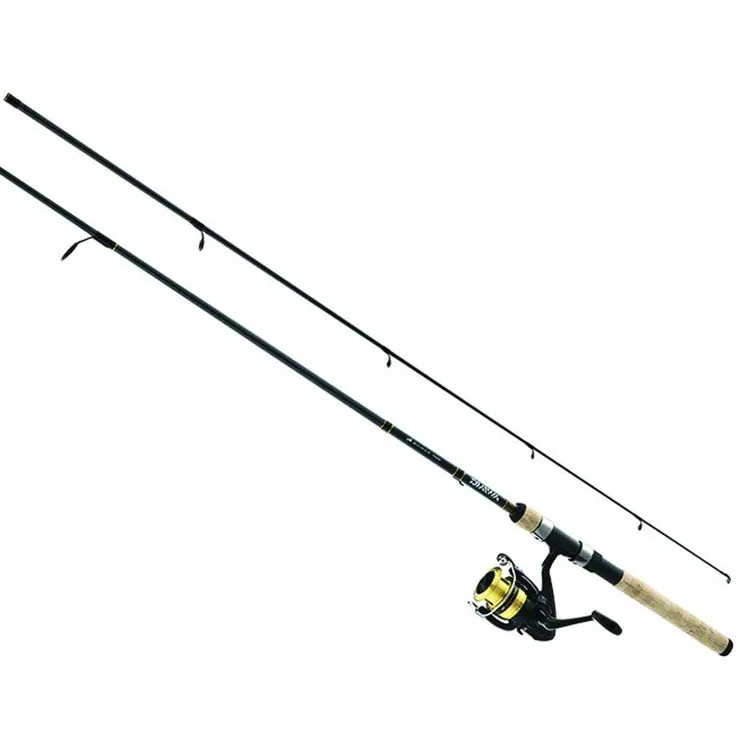 Daiwa D-Shock 6′ Medium Light Spinning Combo