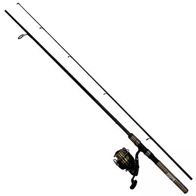 Daiwa D-Shock Spinning Combo 6’6″