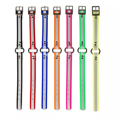 Dayglo Collar with O-Ring