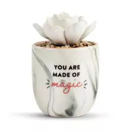 Demdaco Succulent Oil Diffuser - Made of Magic
