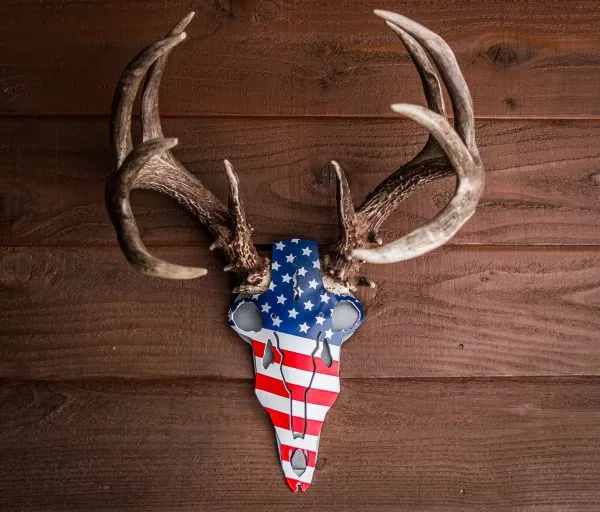 Do All Traps America Buck Antler Mount | Wide 6″ | Tall 12″