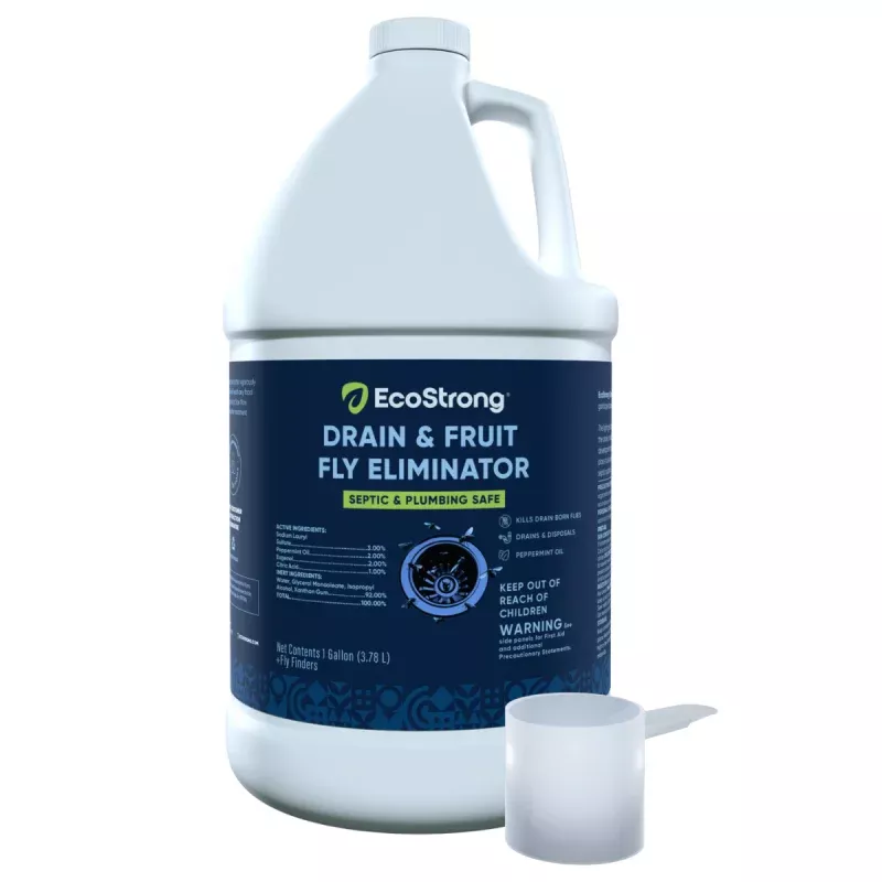 Drain and Fruit Fly Eliminator