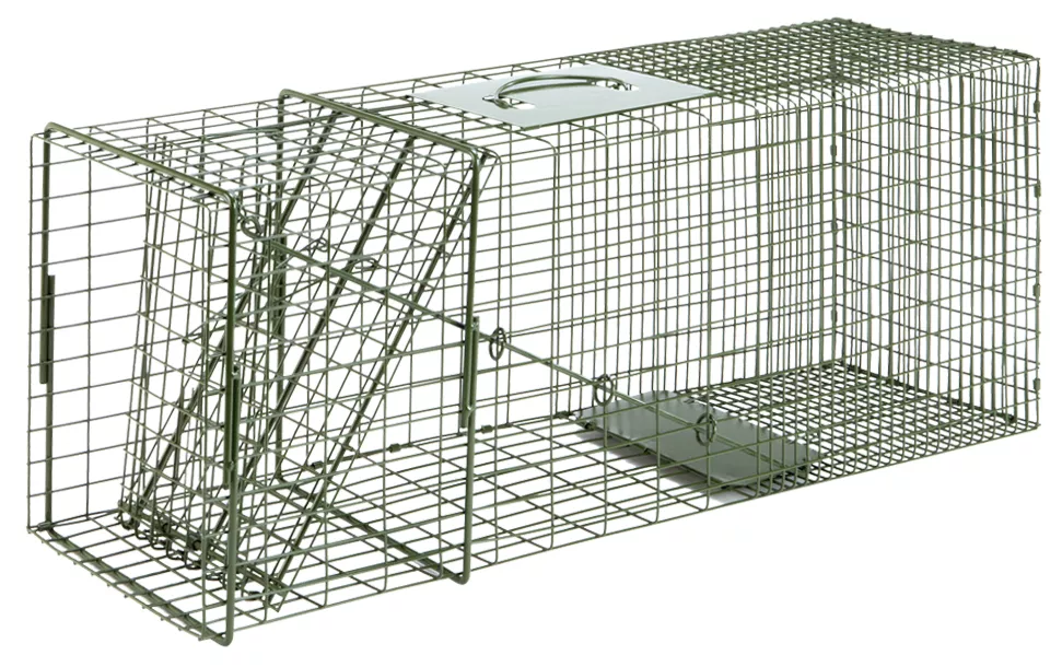 Duke #3-1 Cage Trap #D1110