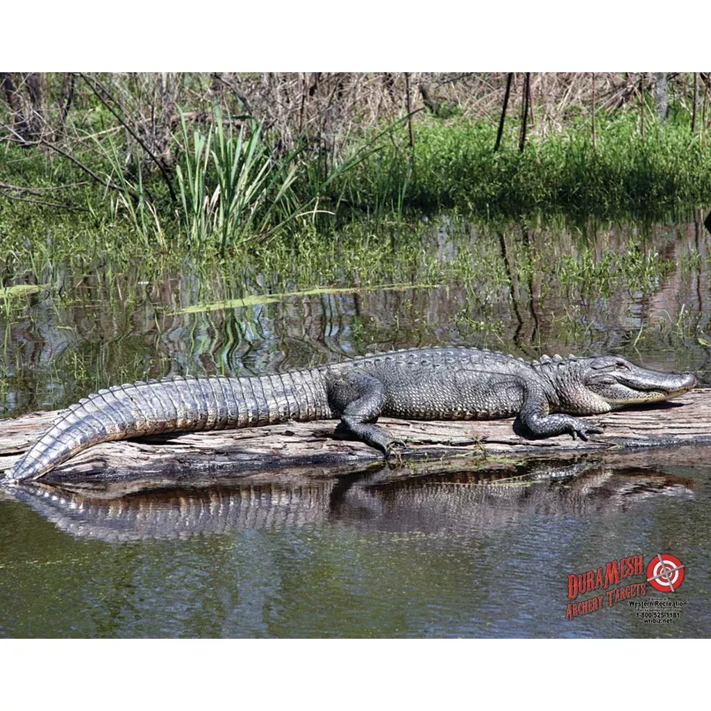 DuraMesh Archery Target - Alligator
