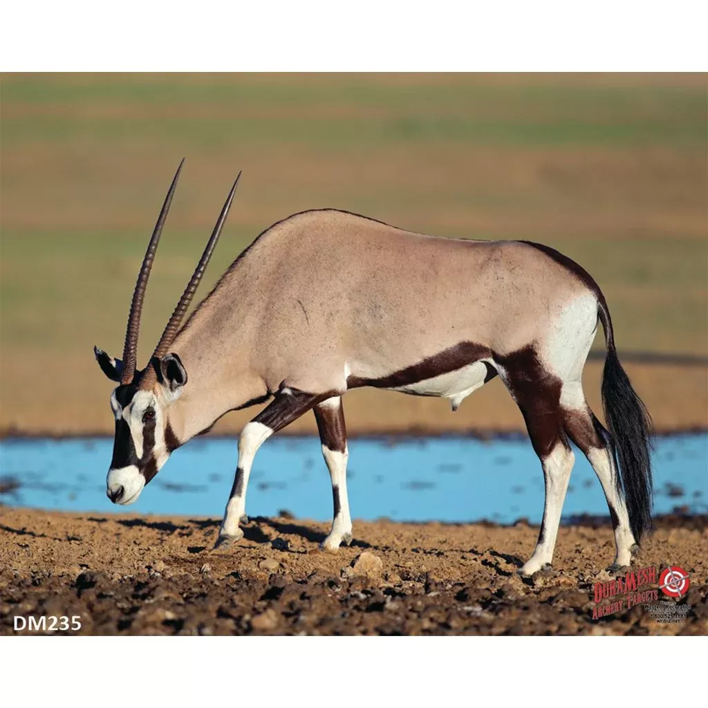DuraMesh Archery Target - Gemsbuck