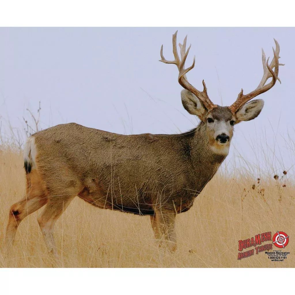 DuraMesh Archery Target – Mule Deer