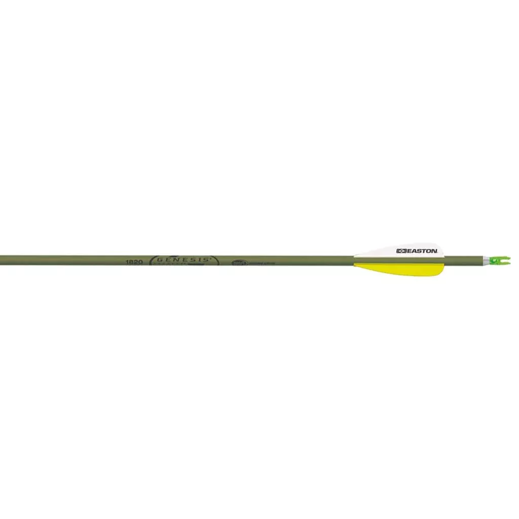 Easton Genesis Arrows