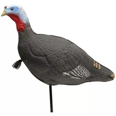 Feather Flex Economy