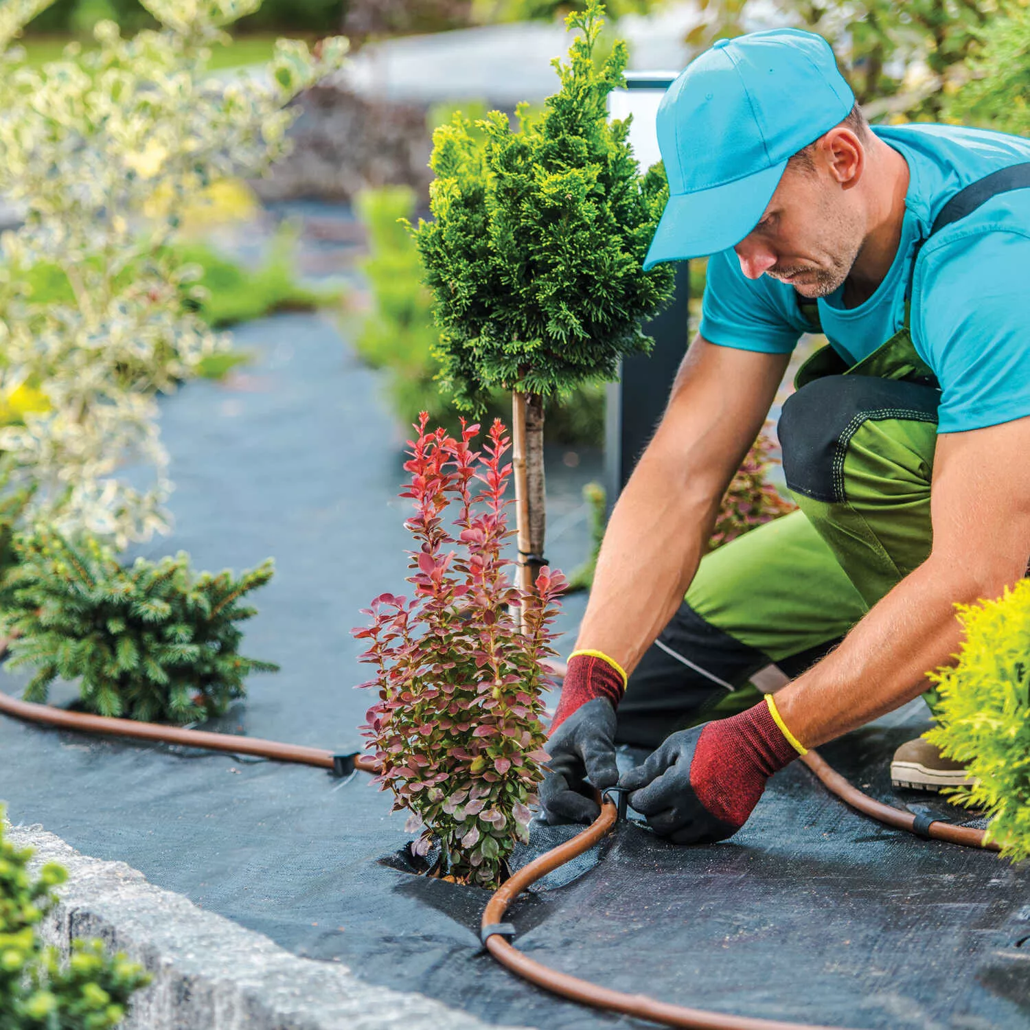 Forestry Supplies DeWitt Weed Barrier Professional Max