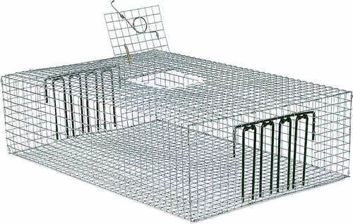 Forestry Supplies Tomahawk Collapsible 2‑Door Pigeon Trap |Model 502