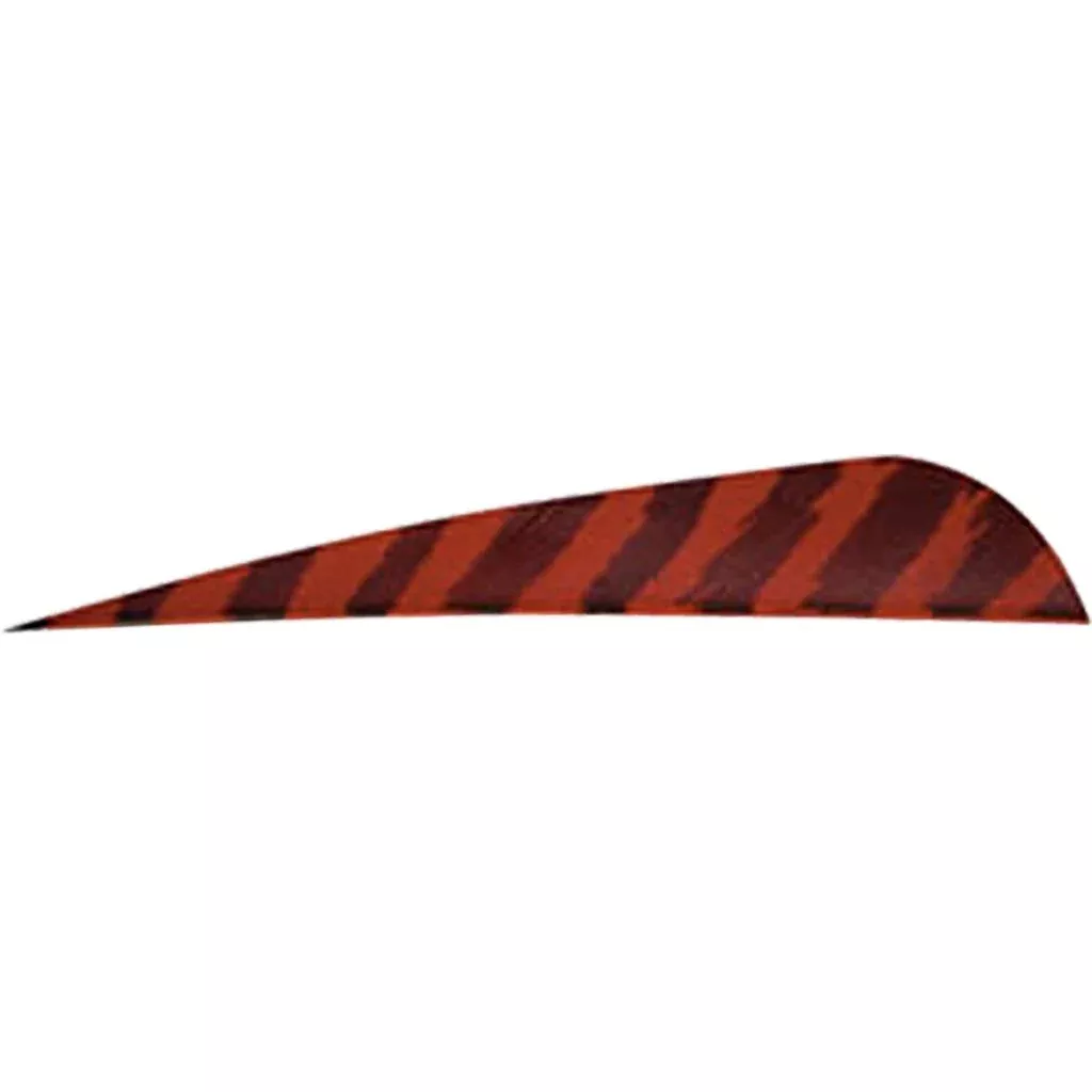 Gateway Barred Feathers