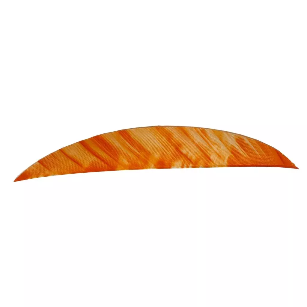 Gateway Magnum Feathers